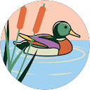 Tanisha Namdev profile picture